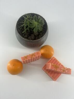 3x Goat Milk Soap Bar Tangerine Grapefruit Orange w/ Zest 3oz Body Handmade New
